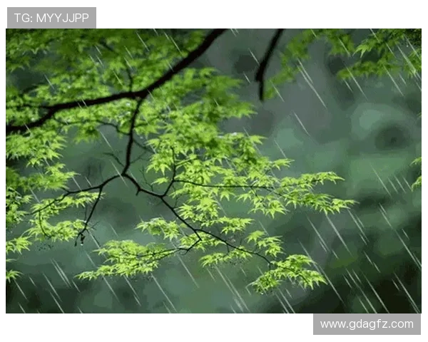 春去春又回来：岁月的轮回与生命的韧性