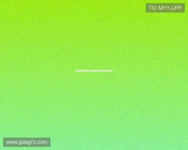 守护之心：一次超越想象的冒险，一次触动灵魂的羁绊